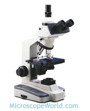 Laboratory Consumables